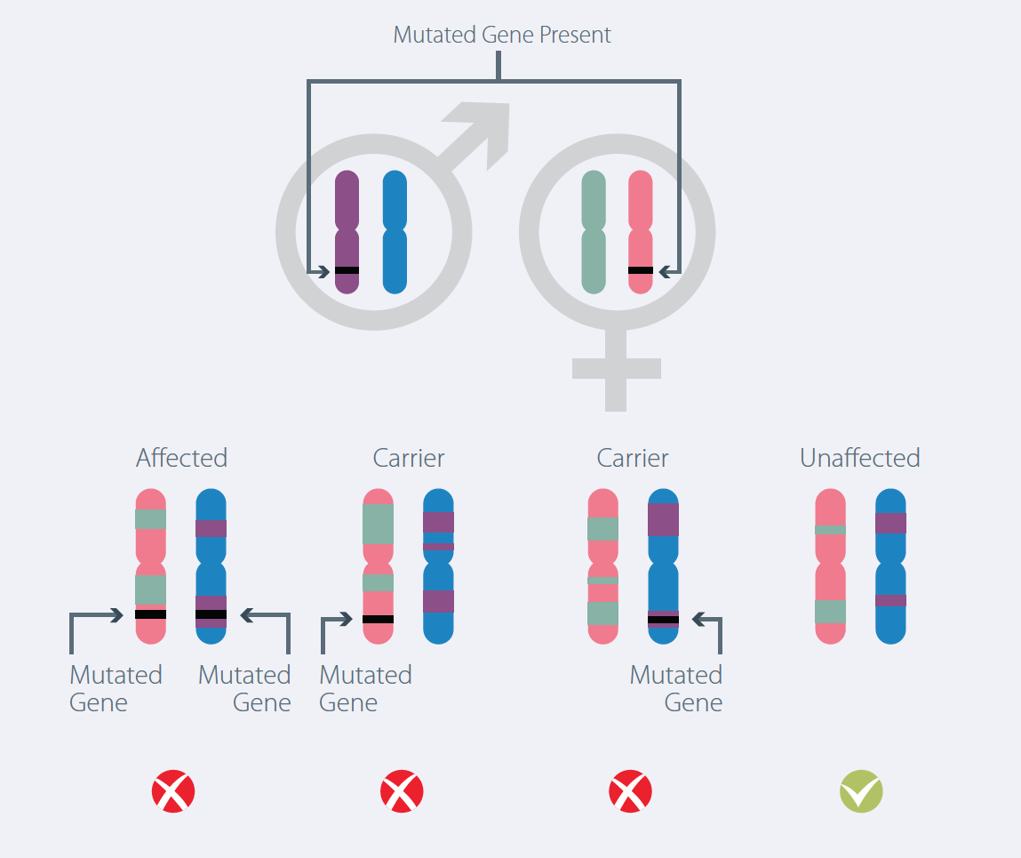 What Is Mutant Gene Identification And Can PGD Help? - Bridge Clinic